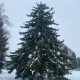 Кулі з підсвіткою